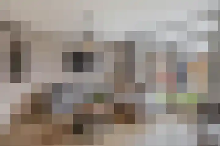 Korenakker 1 Waddinxveen thumbnail 13