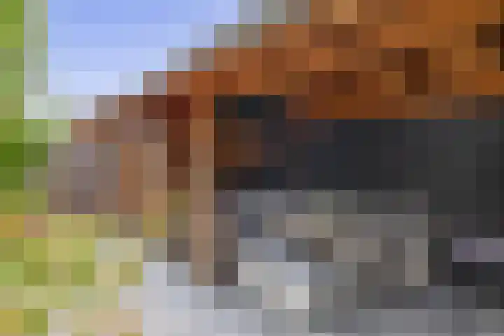 Korenakker 1 Waddinxveen thumbnail 18
