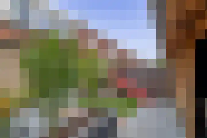 Korenakker 1 Waddinxveen thumbnail 19