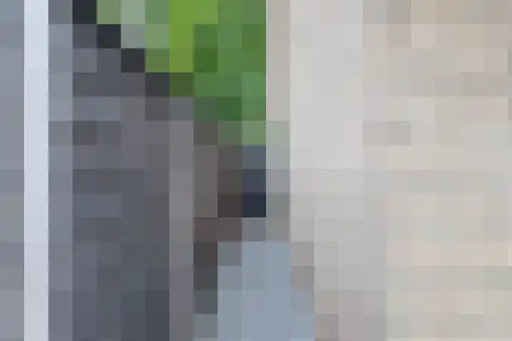 Korenakker 1 Waddinxveen thumbnail 20
