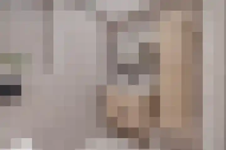Korenakker 1 Waddinxveen thumbnail 23