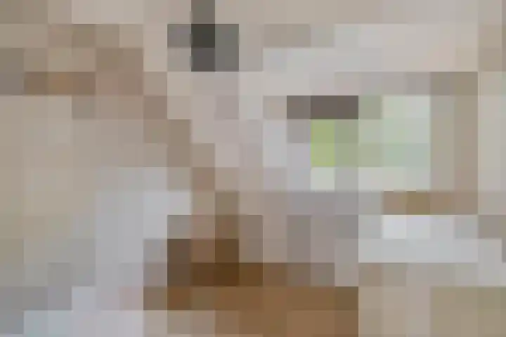 Korenakker 1 Waddinxveen thumbnail 25