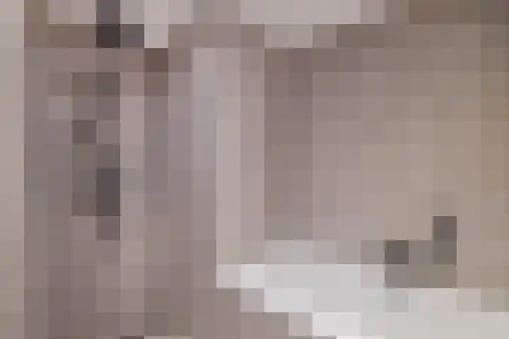 Korenakker 1 Waddinxveen thumbnail 4