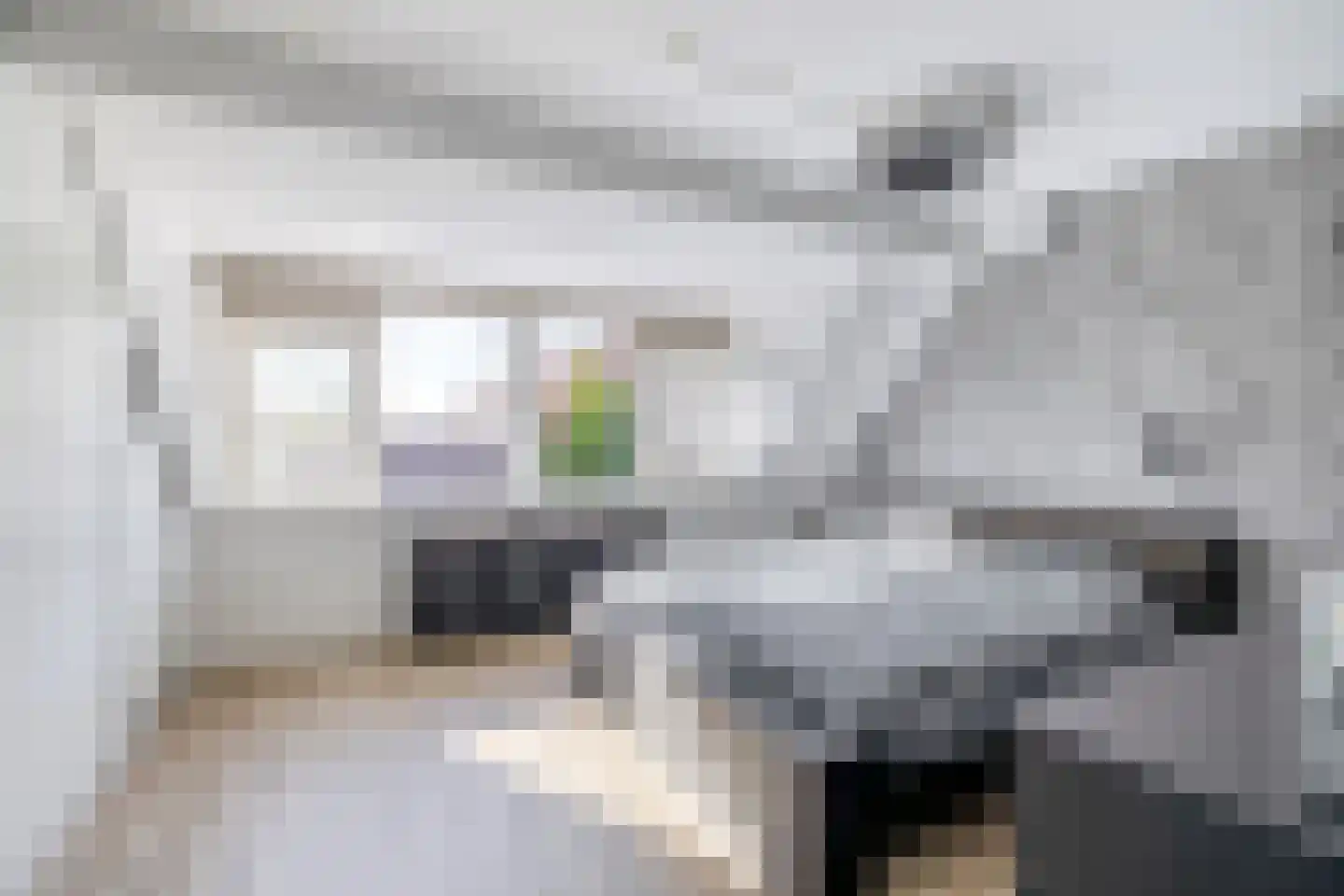 Korenakker 47 Waddinxveen thumbnail 18