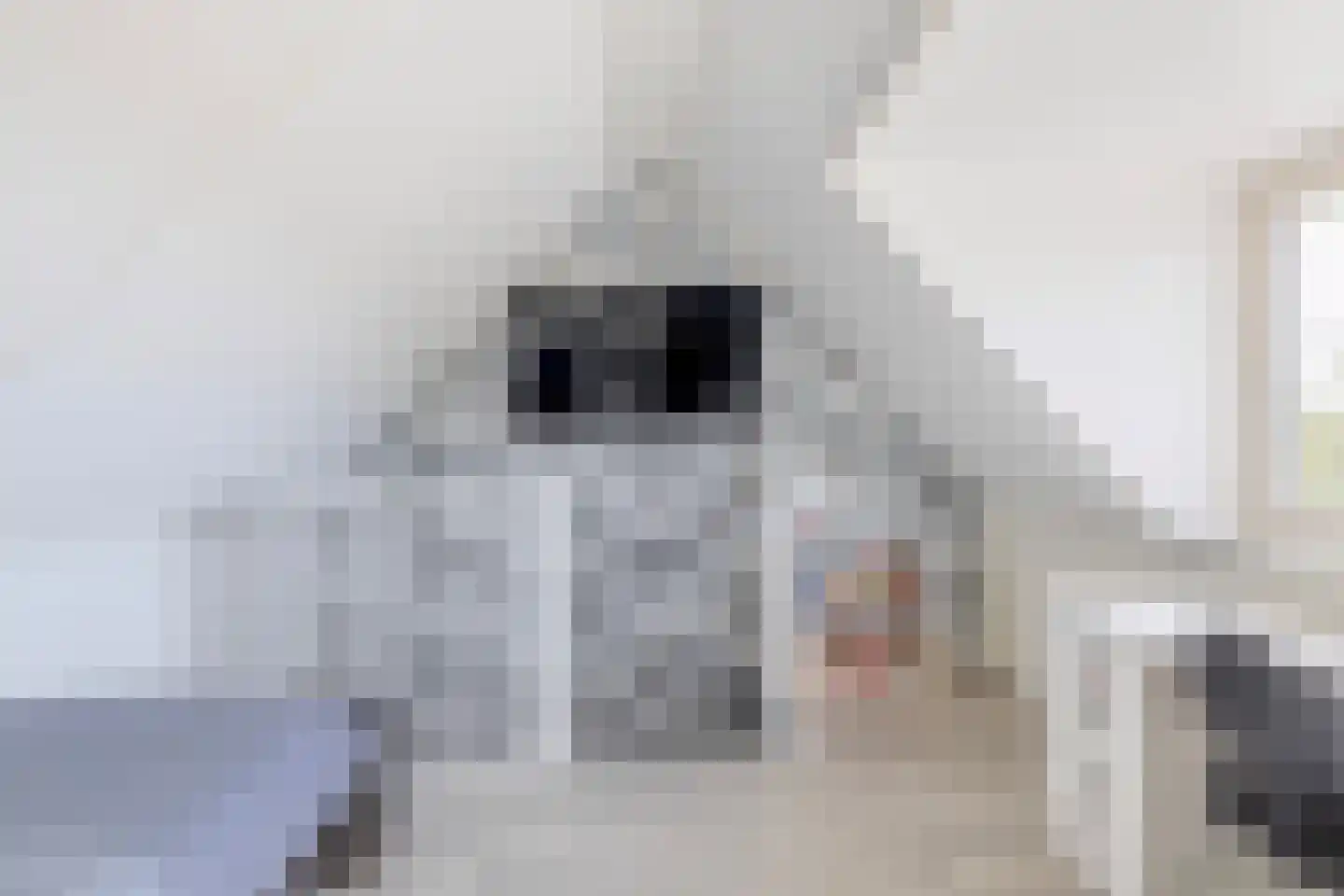 Korenakker 47 Waddinxveen thumbnail 25