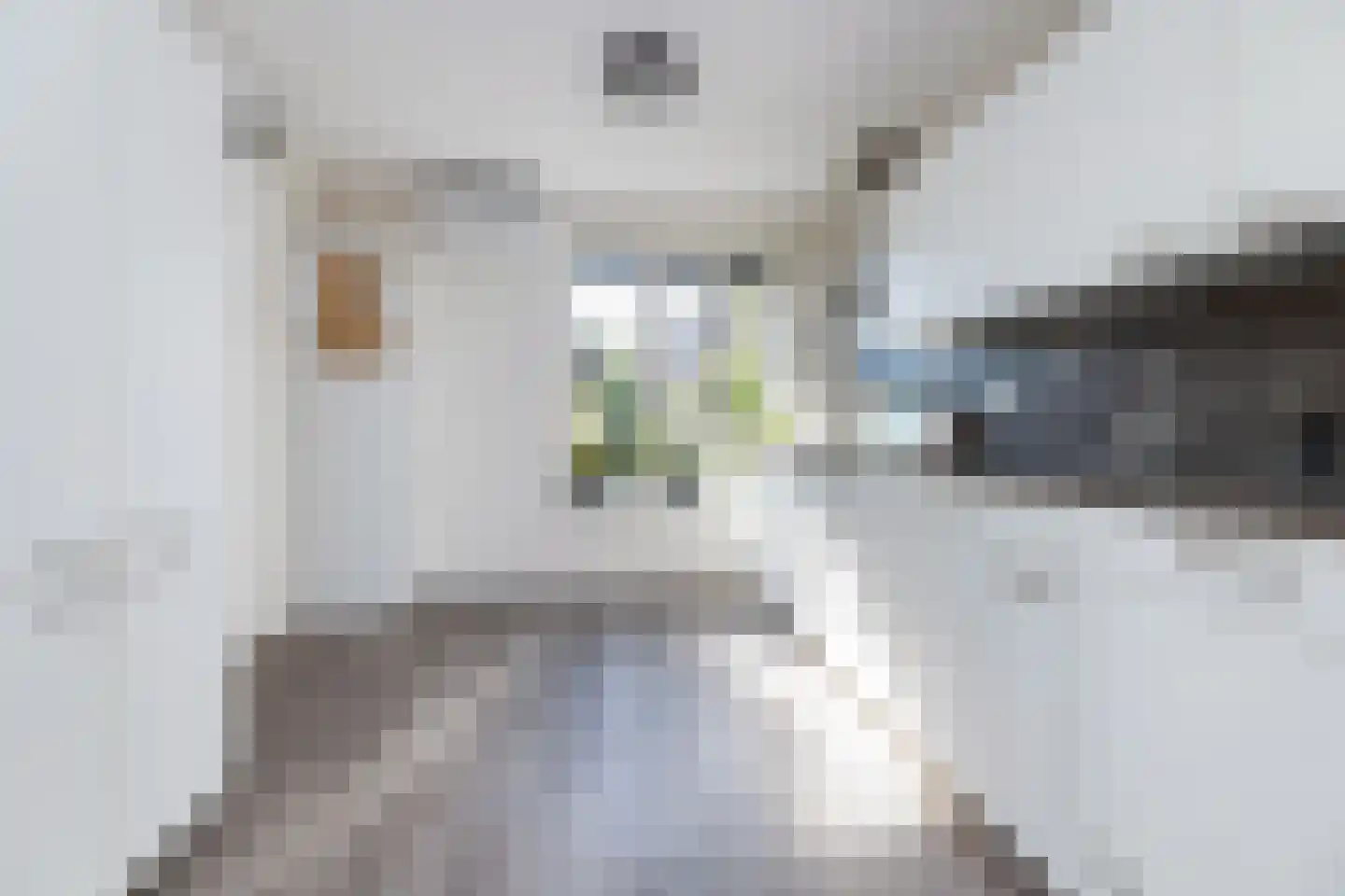 Korenakker 5 Wezep thumbnail 10