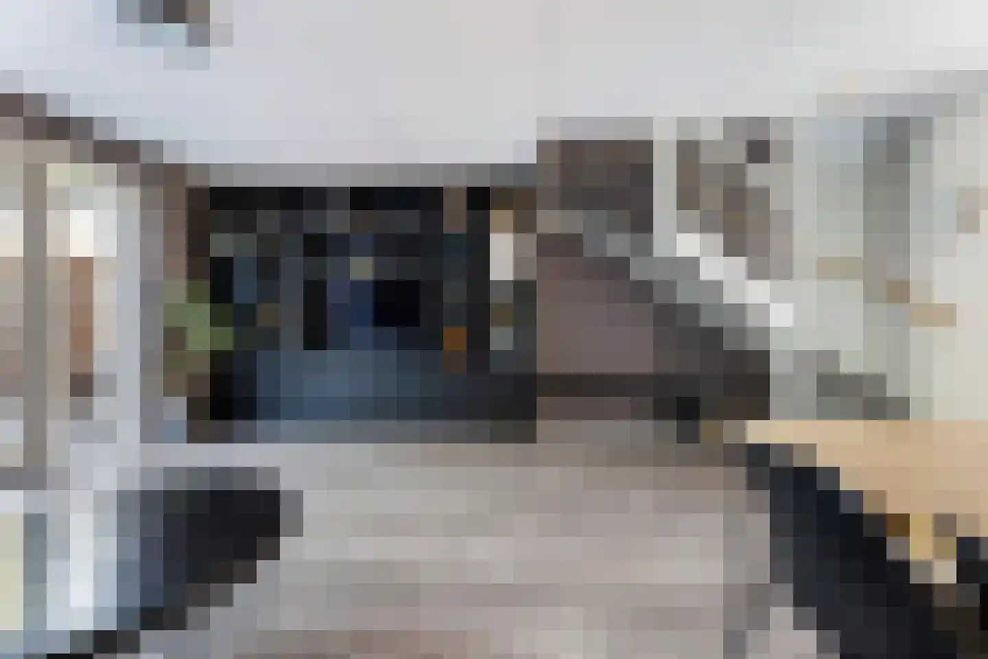 Korenakker 5 Wezep thumbnail 14