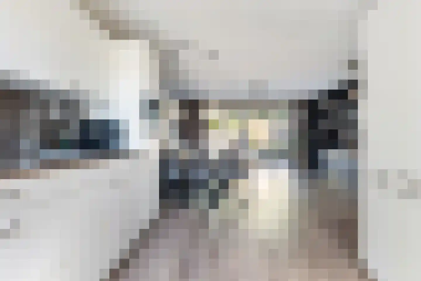 Korenakker 5 Wezep foto 2
