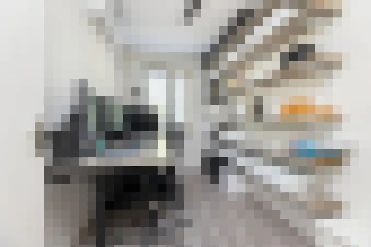 Korenakker 5 Wezep thumbnail 23