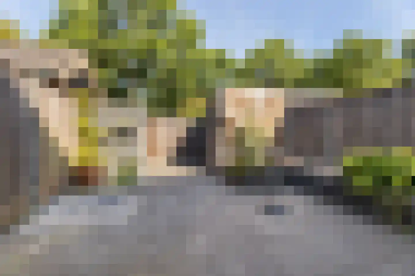 Korenakker 5 Wezep thumbnail 33