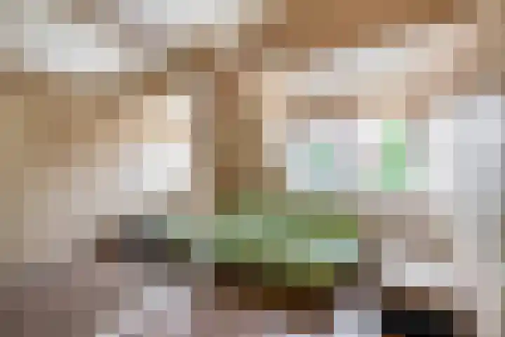 Korenakker 63 Waddinxveen thumbnail 13