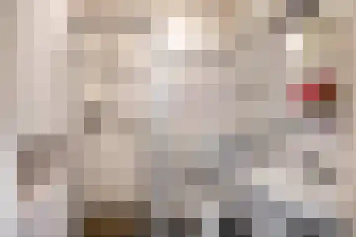 Korenakker 63 Waddinxveen thumbnail 14