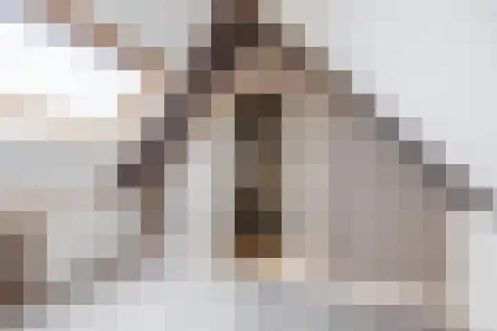 Korenakker 63 Waddinxveen thumbnail 21