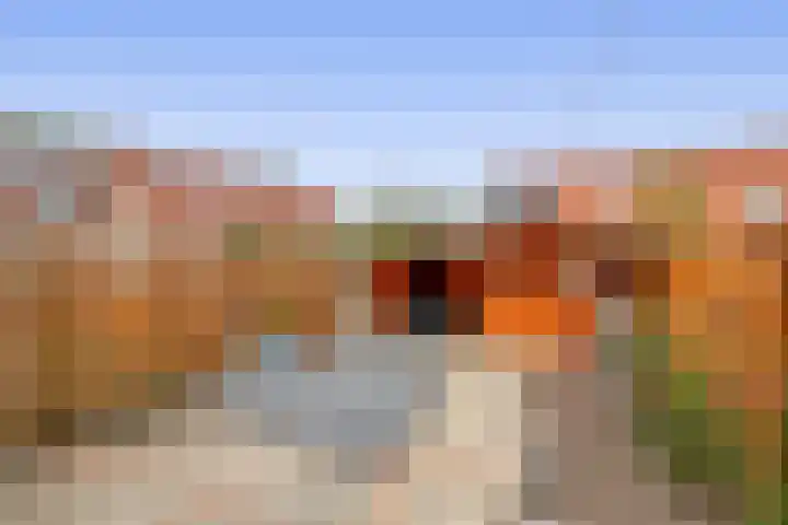 Korenakker 63 Waddinxveen thumbnail 23