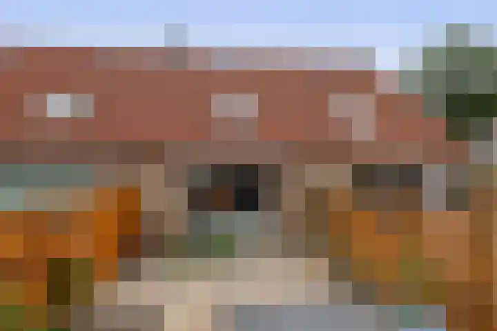 Korenakker 63 Waddinxveen thumbnail 25