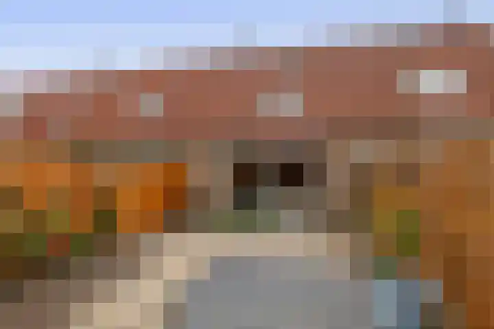 Korenakker 63 Waddinxveen thumbnail 26