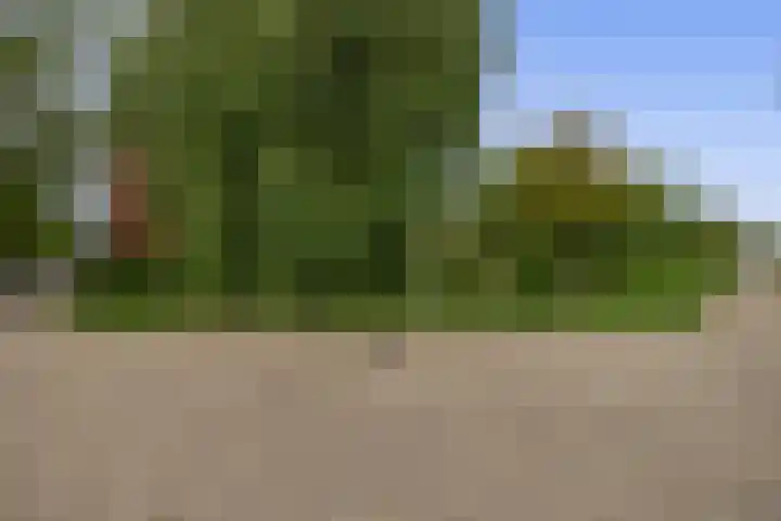 Korenakker 63 Waddinxveen thumbnail 29
