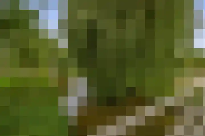 Korenakker 63 Waddinxveen thumbnail 30