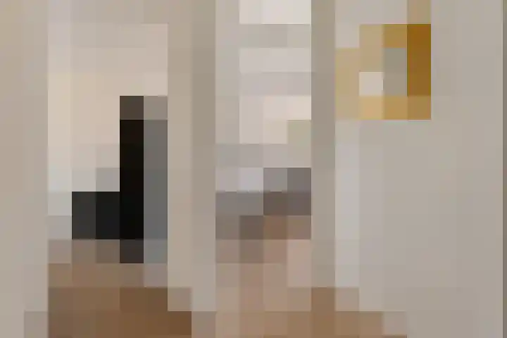 Korenberg 16 Stadskanaal thumbnail 15