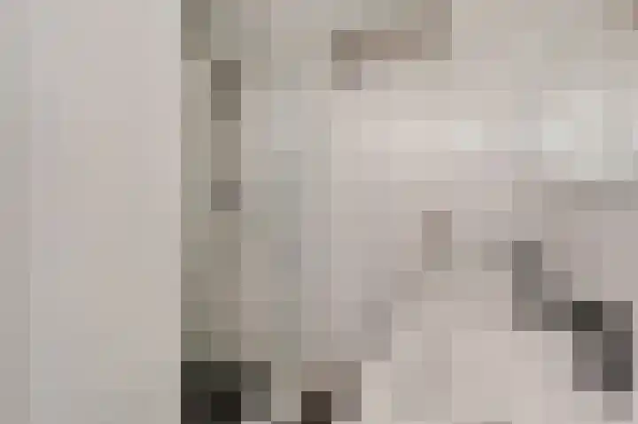 Korenberg 16 Stadskanaal thumbnail 18