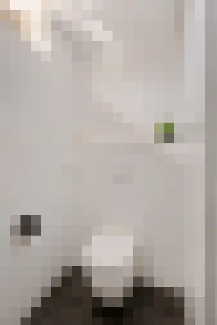 Korenberg 16 Stadskanaal thumbnail 19
