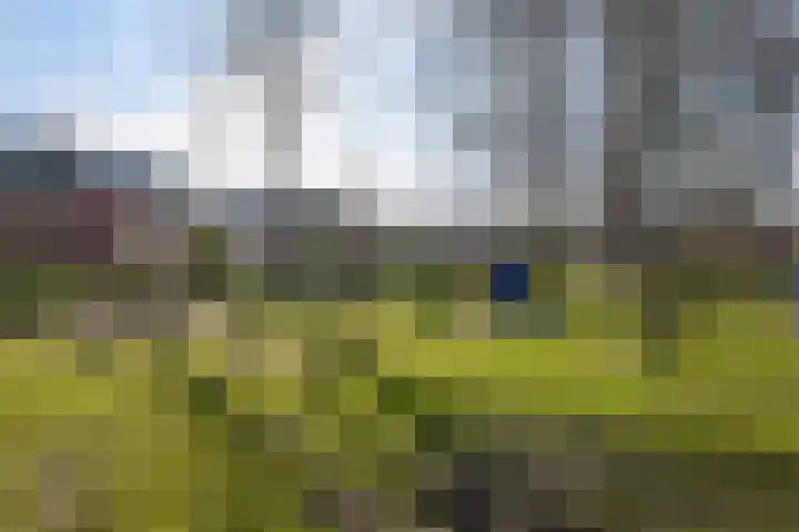 Korenberg 16 Stadskanaal thumbnail 34
