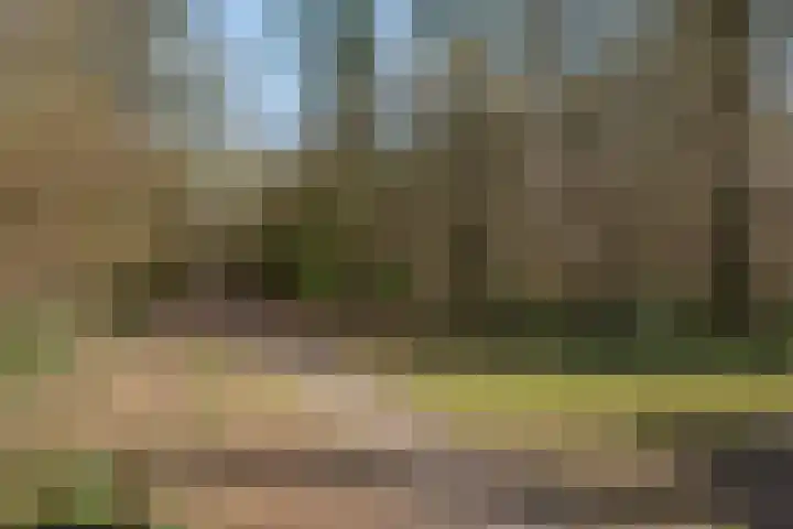 Korenberg 16 Stadskanaal thumbnail 35