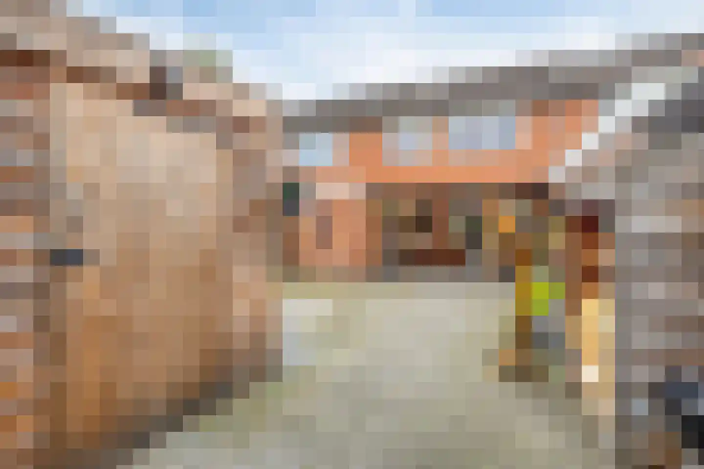 Korenberg 6 Stadskanaal thumbnail 4