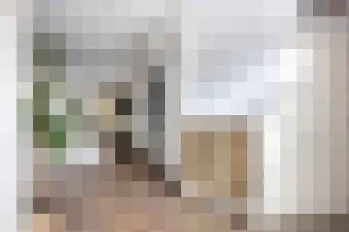 Korenbeursstraat 36 Bergen op Zoom thumbnail 5