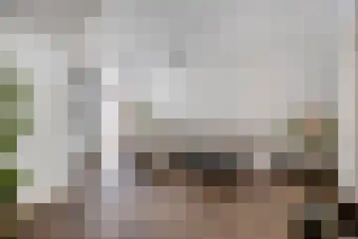 Korenbeursstraat 36 Bergen op Zoom thumbnail 8
