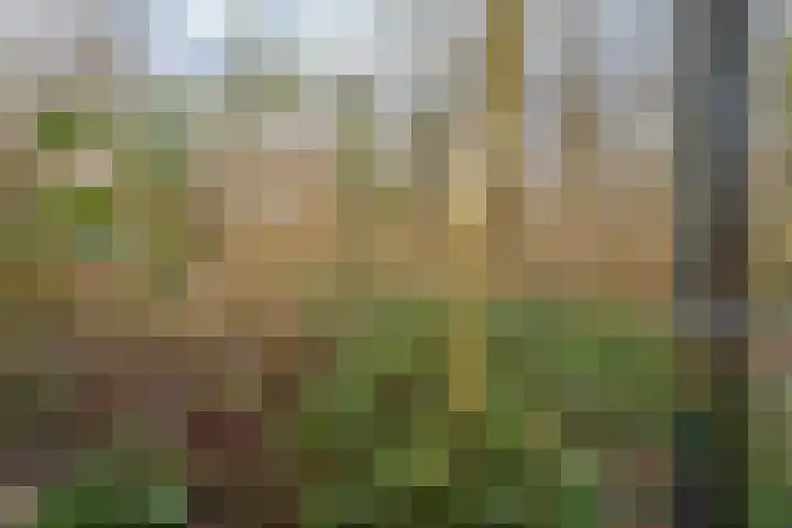 Korenbeursstraat 4 Almere thumbnail 52