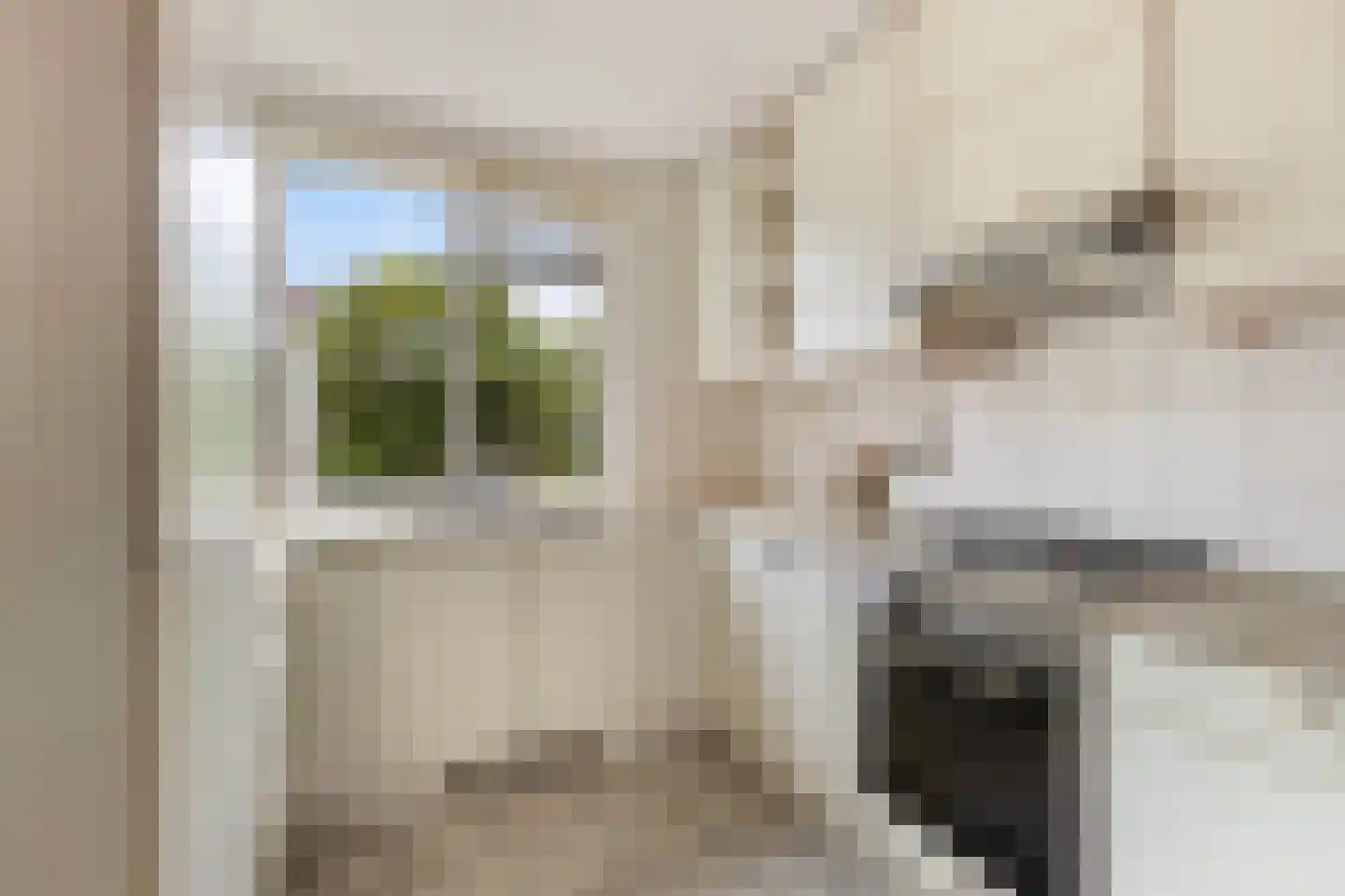 Korenbloem 1 b Bergambacht thumbnail 10