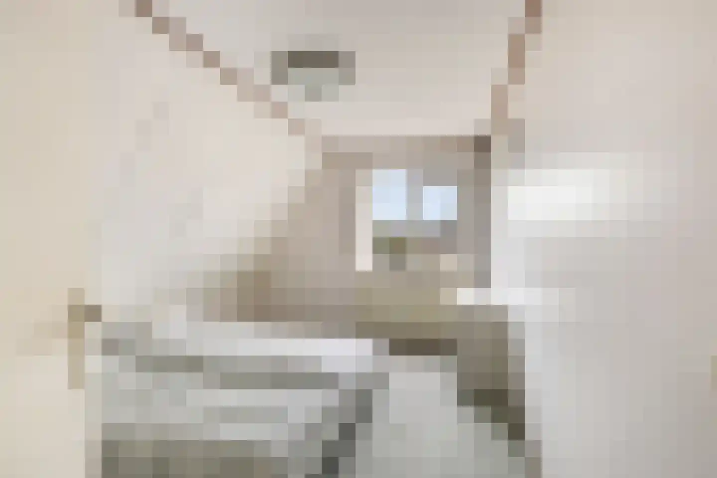 Korenbloem 1 b Bergambacht thumbnail 16