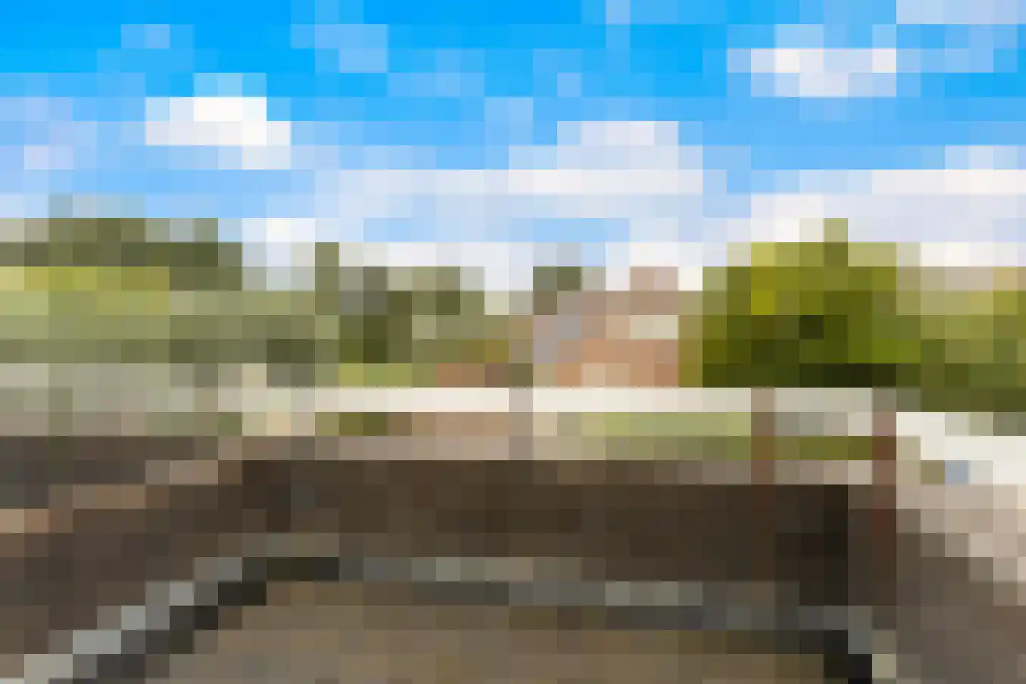 Korenbloem 1 b Bergambacht thumbnail 24