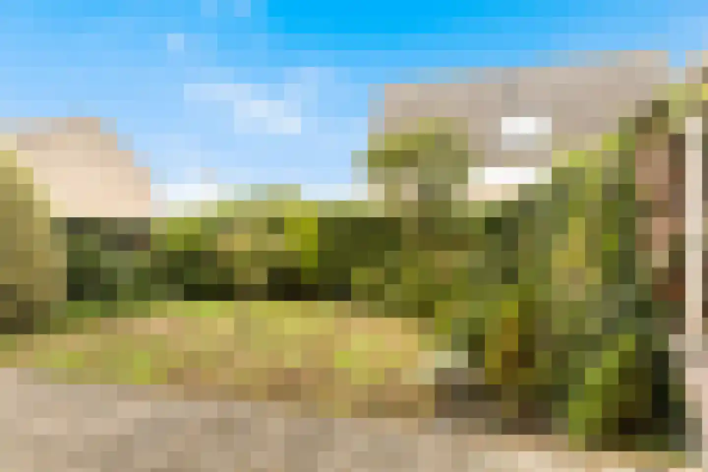 Korenbloem 1 b Bergambacht thumbnail 30