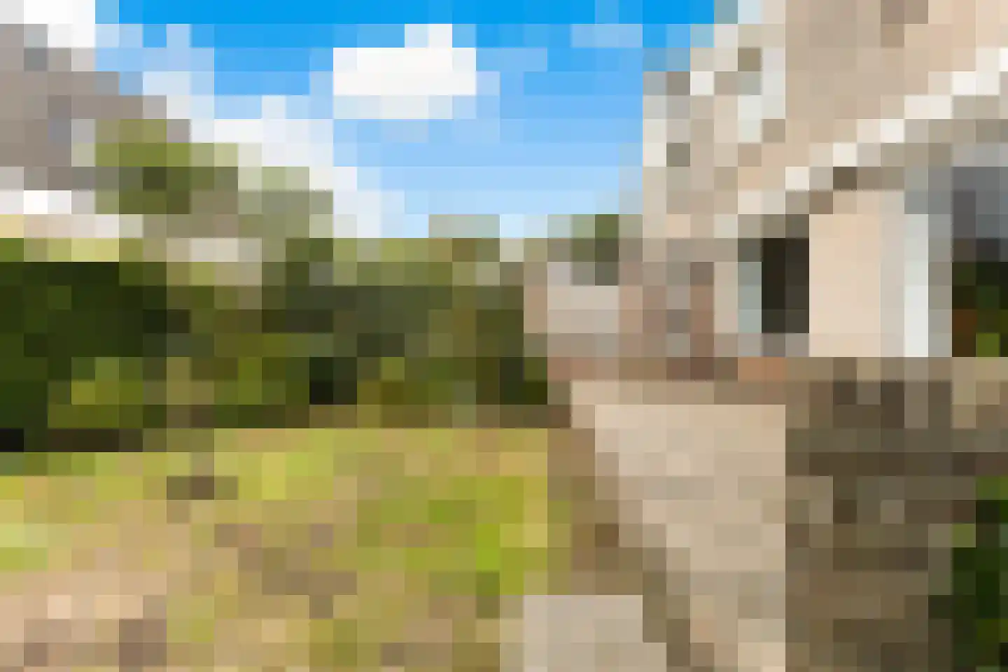 Korenbloem 1 b Bergambacht thumbnail 31
