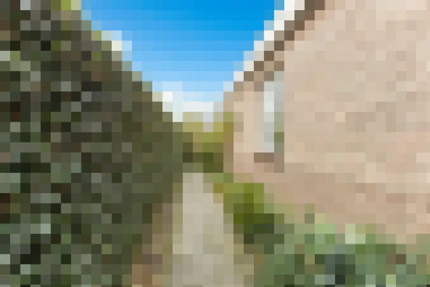 Korenbloem 1 b Bergambacht thumbnail 32