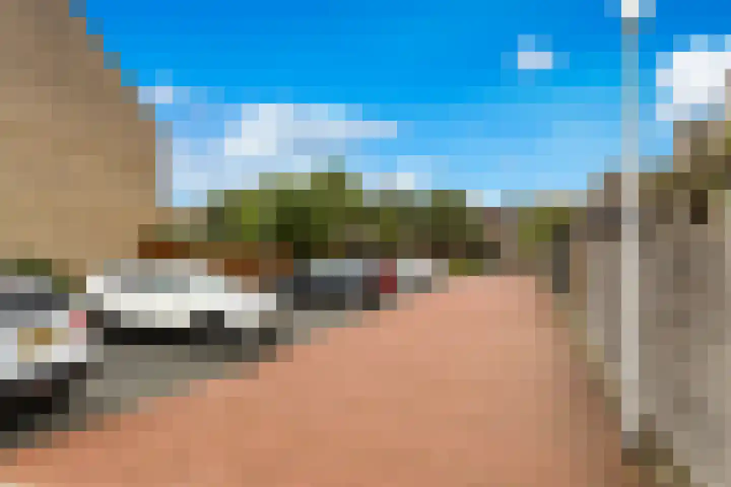 Korenbloem 1 b Bergambacht thumbnail 39