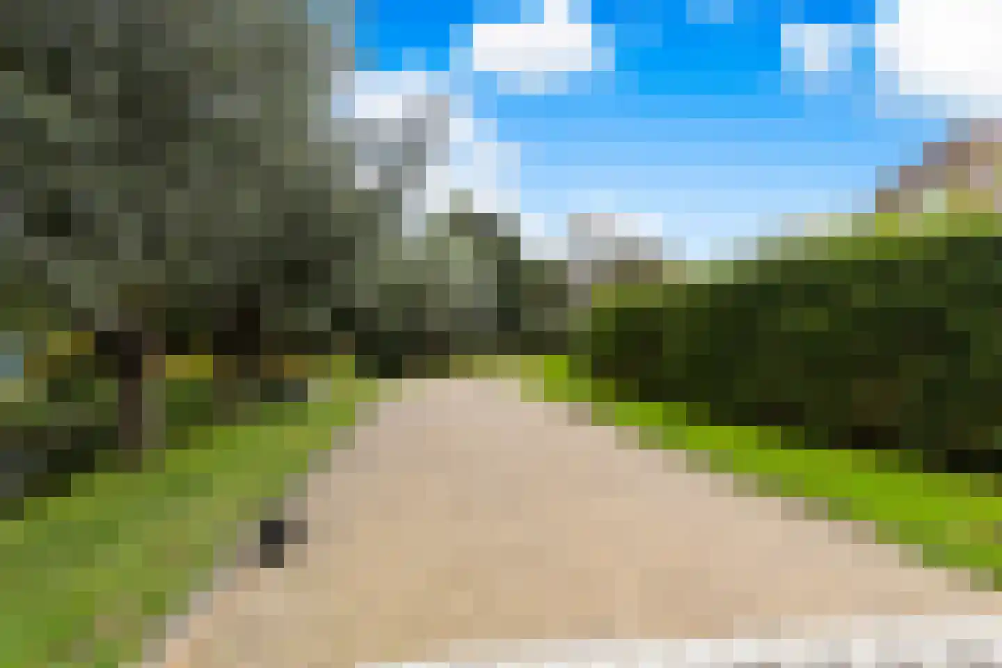 Korenbloem 1 b Bergambacht thumbnail 41
