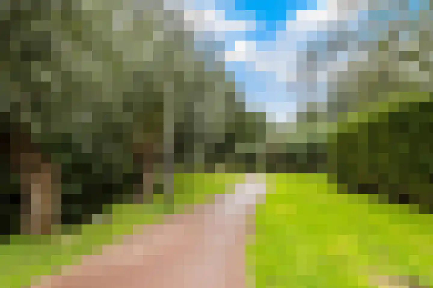 Korenbloem 1 b Bergambacht thumbnail 42