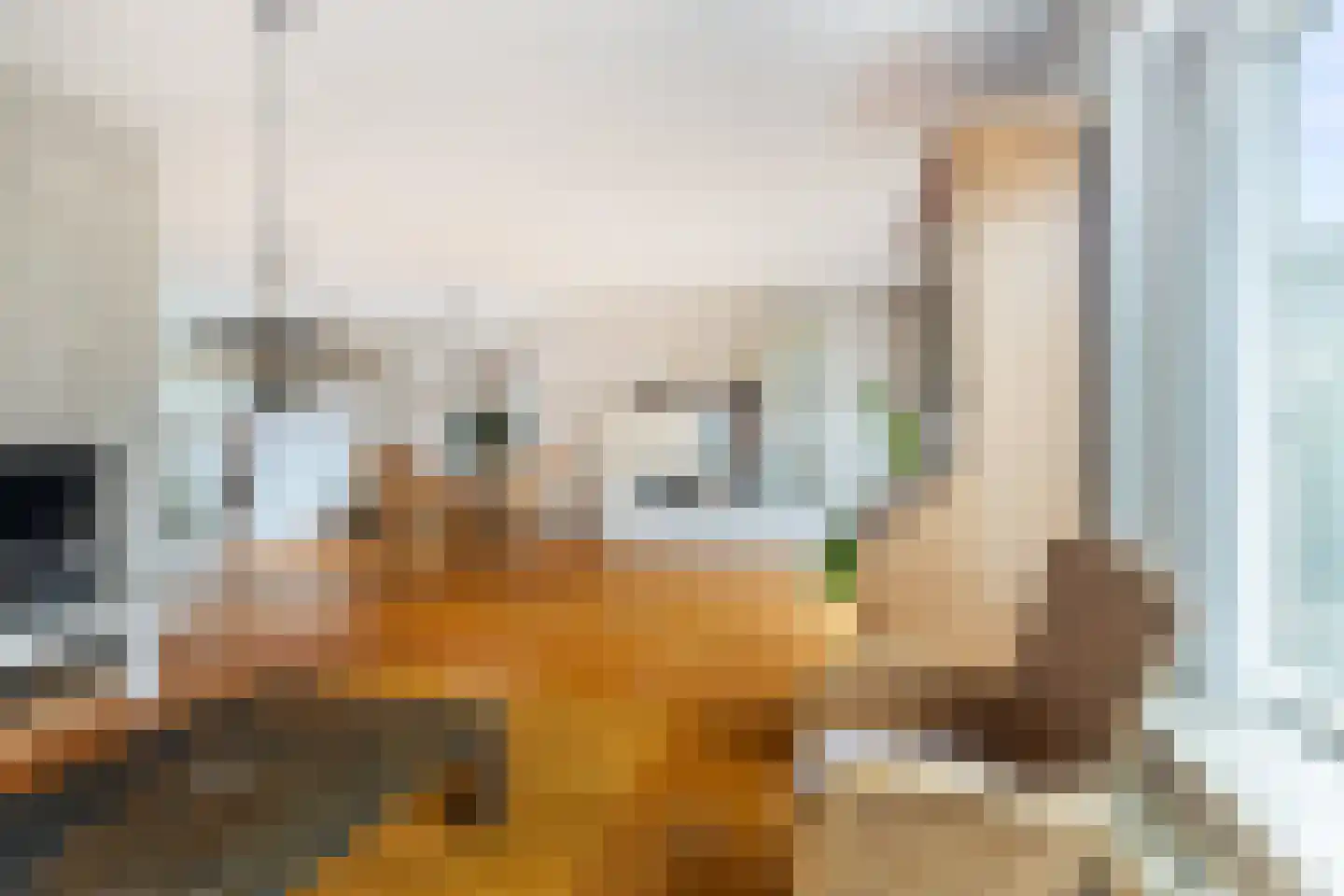 Korenbloem 1 b Bergambacht thumbnail 5