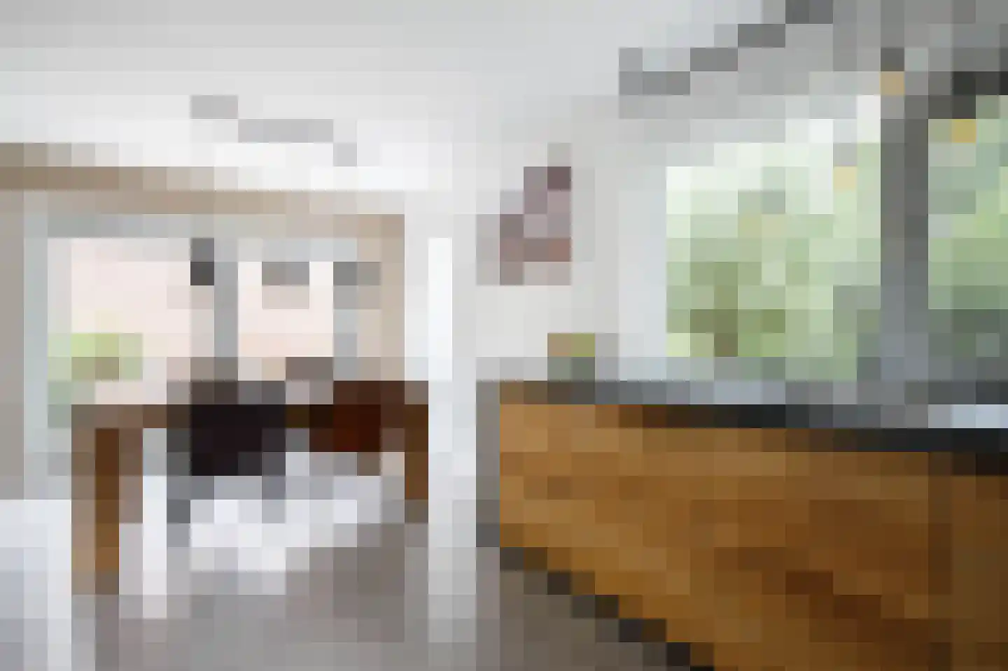 Korenbloem 10 Bergambacht thumbnail 16