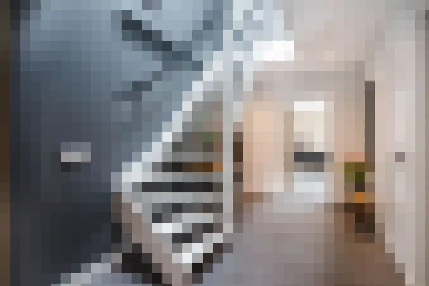 Korenbloem 10 Bergambacht thumbnail 18