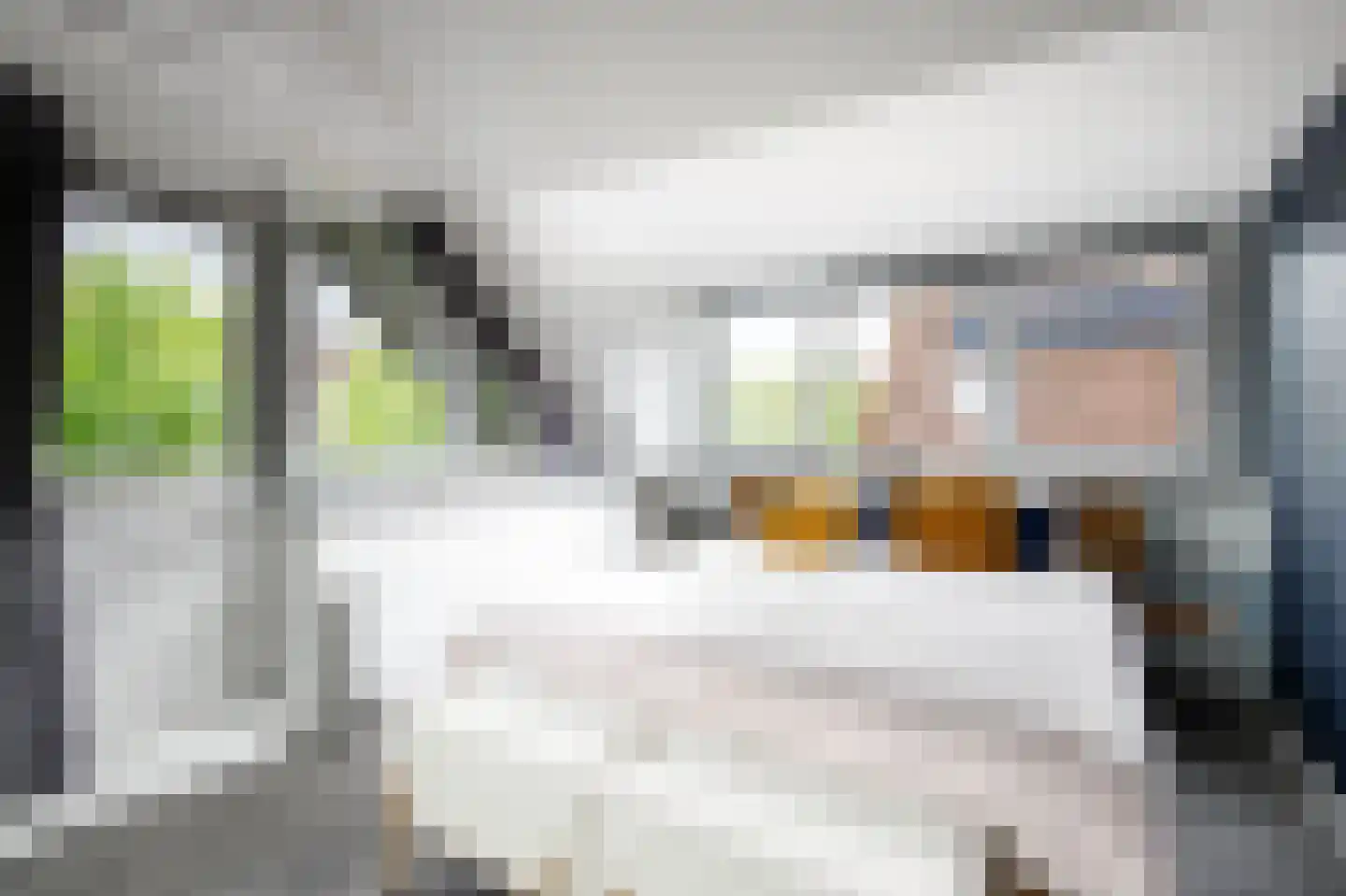 Korenbloem 10 Bergambacht thumbnail 20