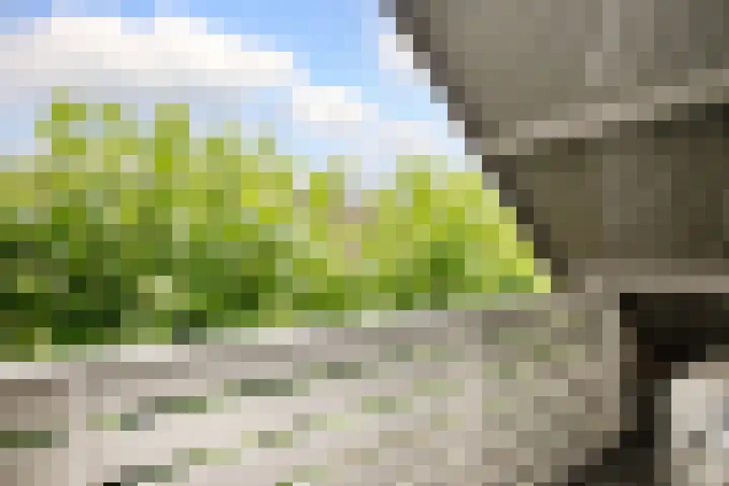 Korenbloem 10 Bergambacht thumbnail 23