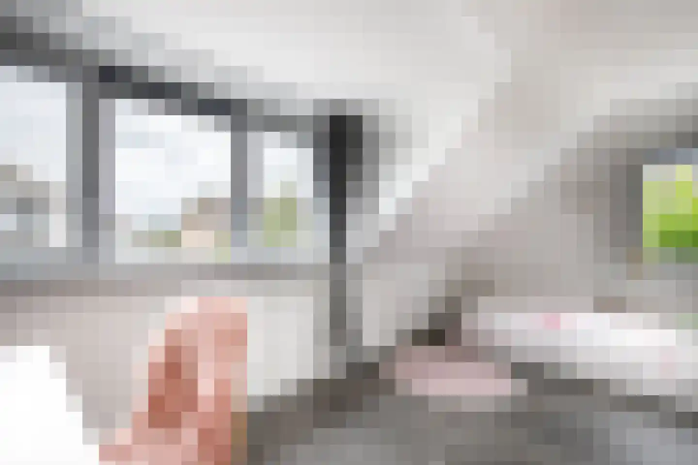 Korenbloem 10 Bergambacht thumbnail 27