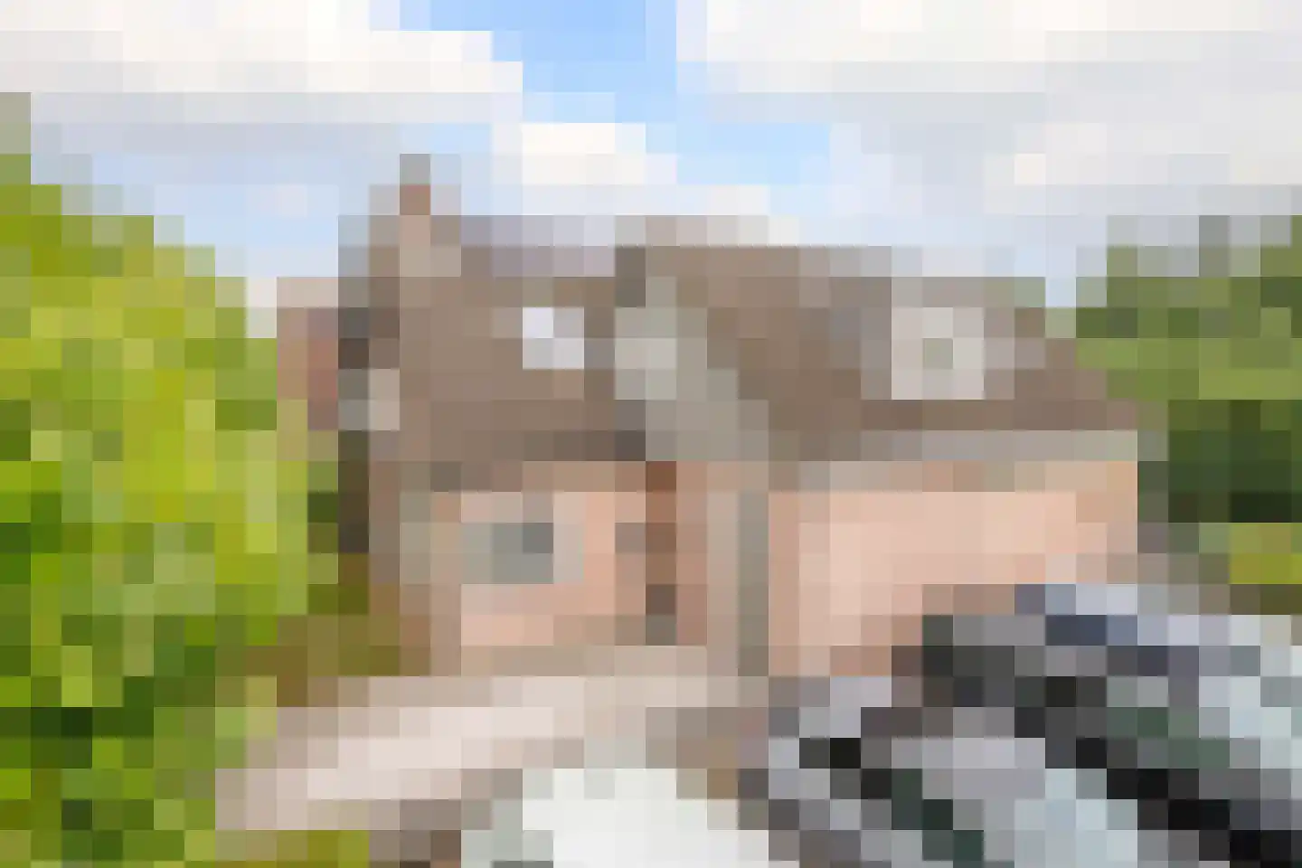 Korenbloem 10 Bergambacht thumbnail 33