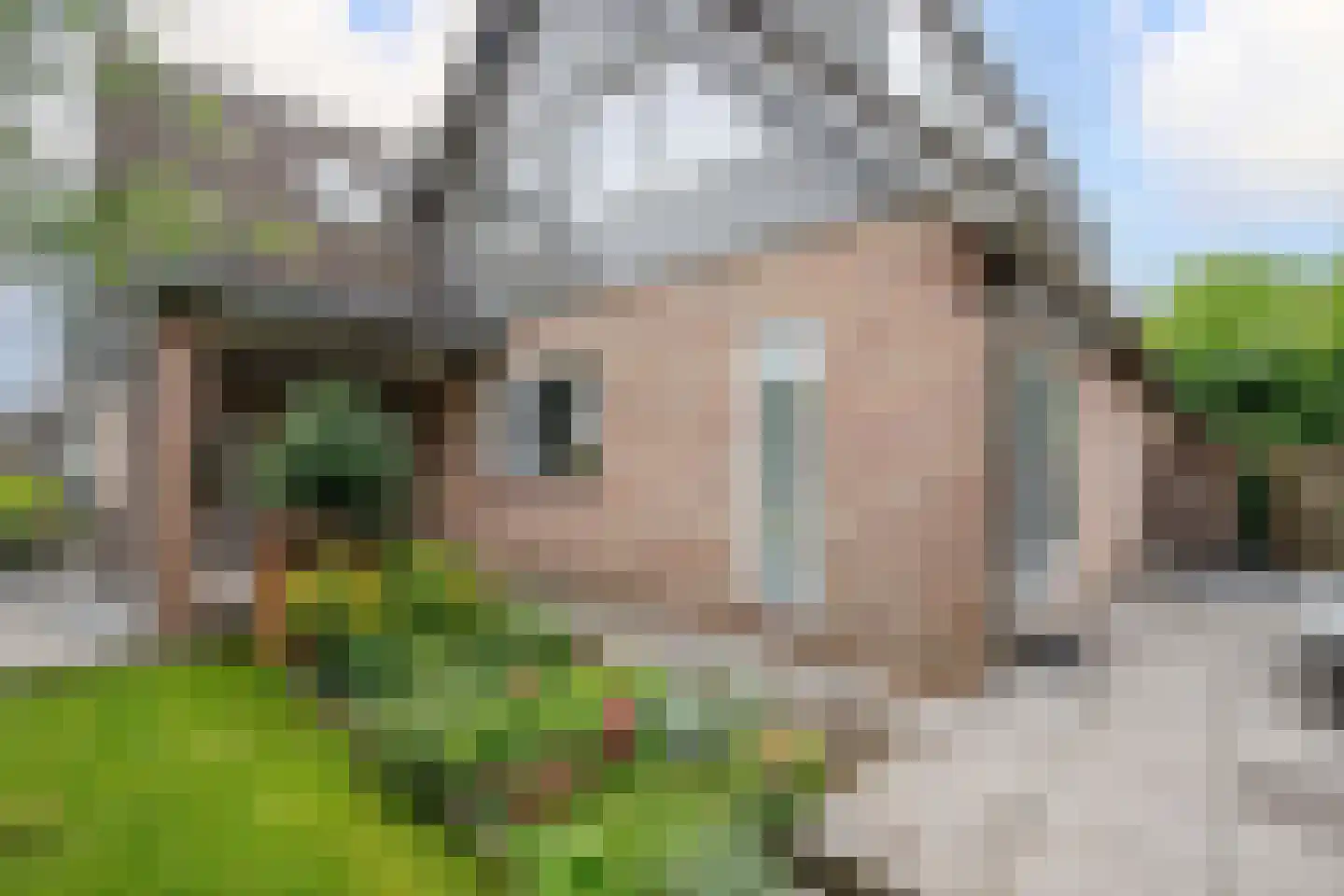 Korenbloem 10 Bergambacht thumbnail 35