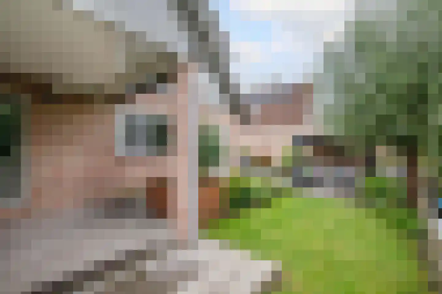Korenbloem 10 Bergambacht thumbnail 37