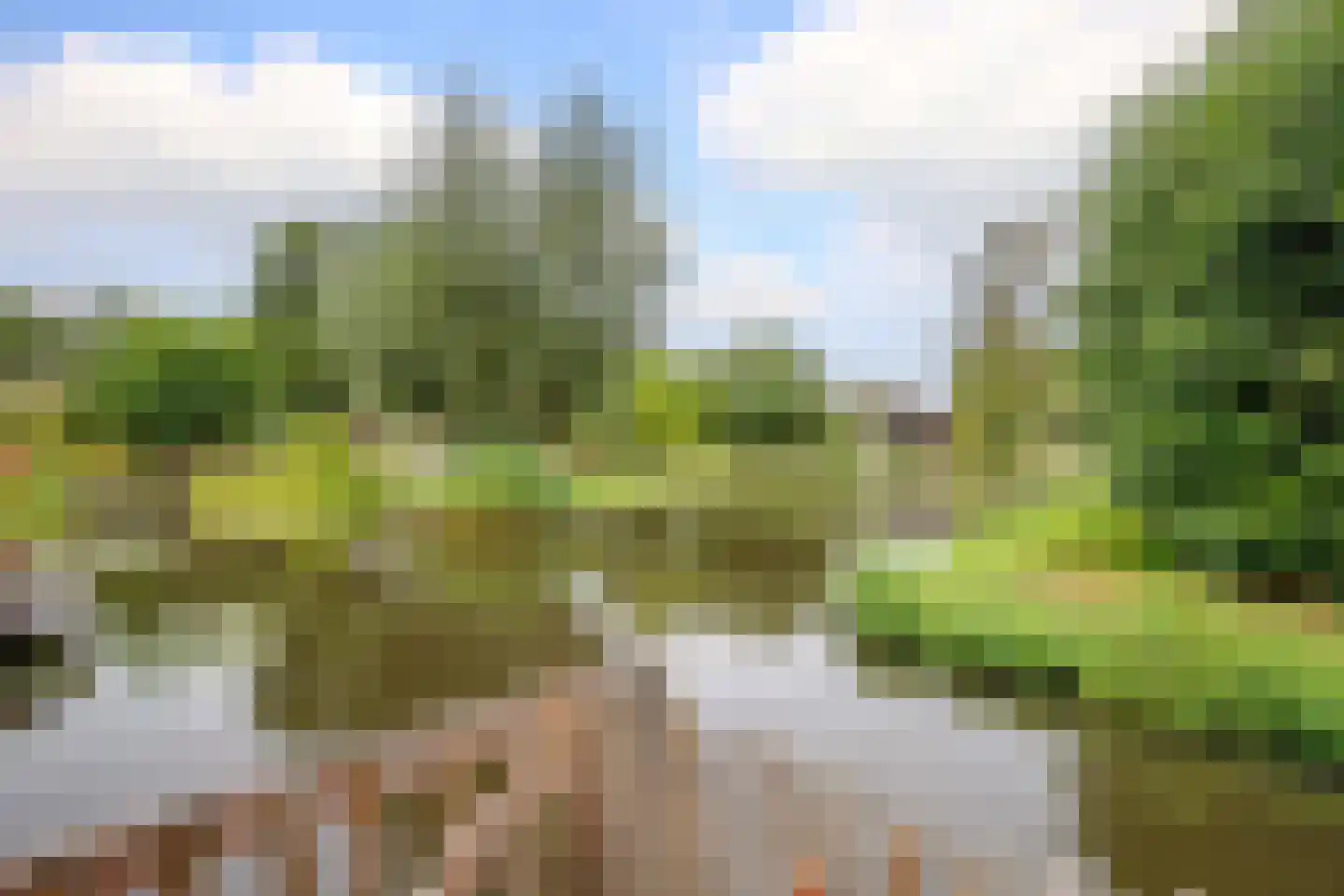 Korenbloem 10 Bergambacht thumbnail 39